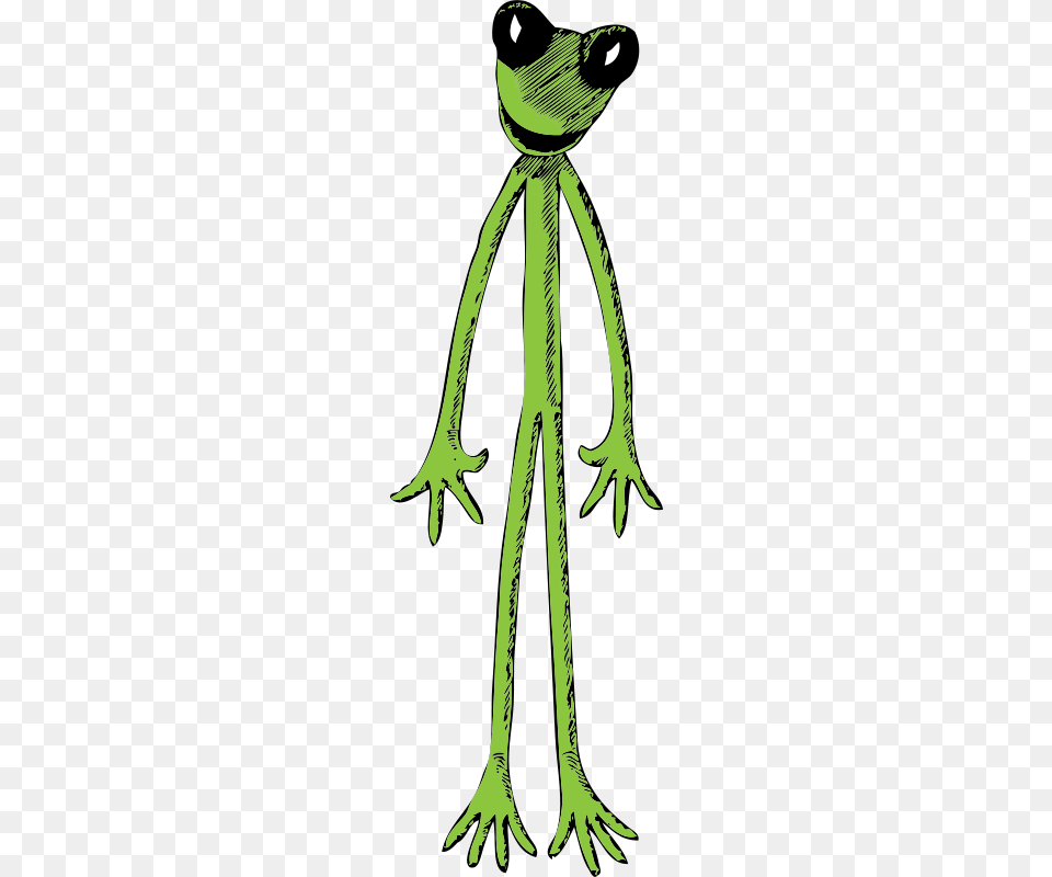 Johnny Automatic Skinny Frog, Person, Green Free Png