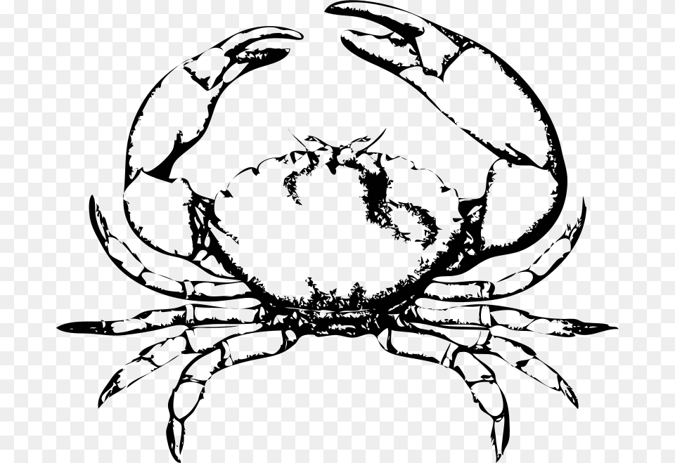 Johnny Automatic Stone Crab Free Transparent Png