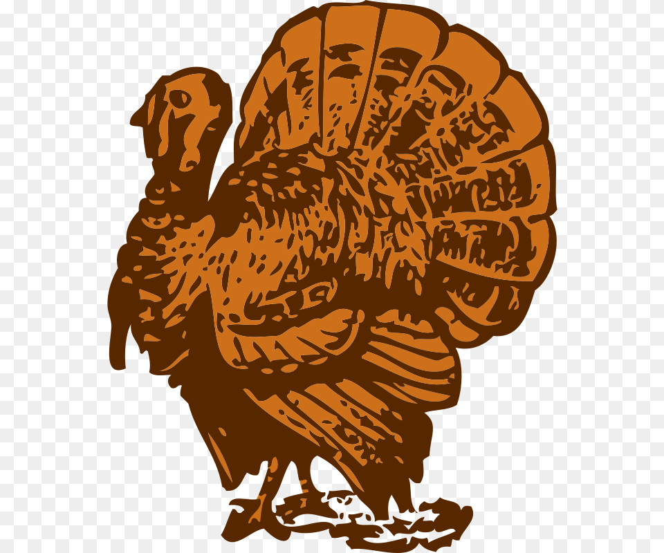 Johnny Automatic Turkey, Animal, Bird, Fowl, Poultry Png Image