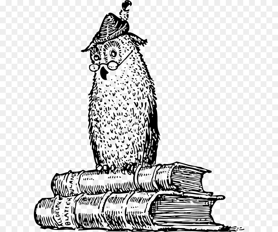 Johnny Automatic Wise Owl On Books, Gray Free Png Download