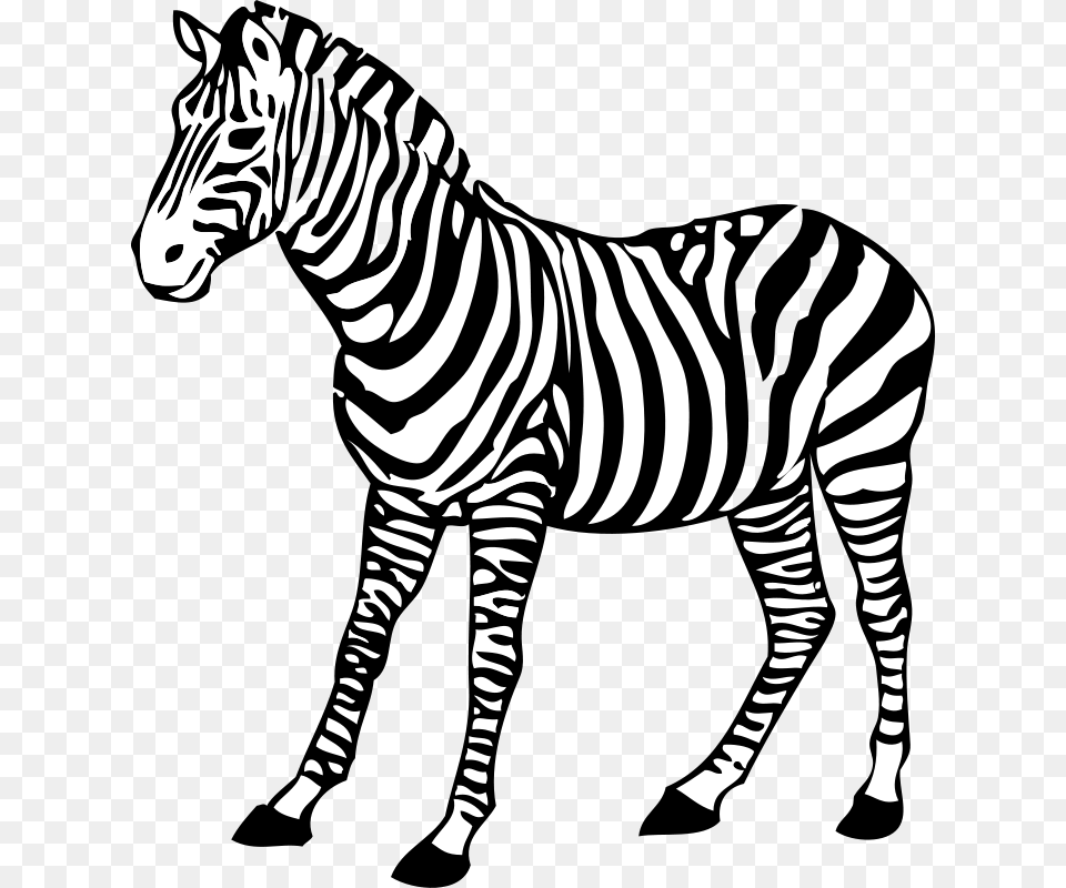 Johnny Automatic Zebra, Animal, Mammal, Wildlife Png