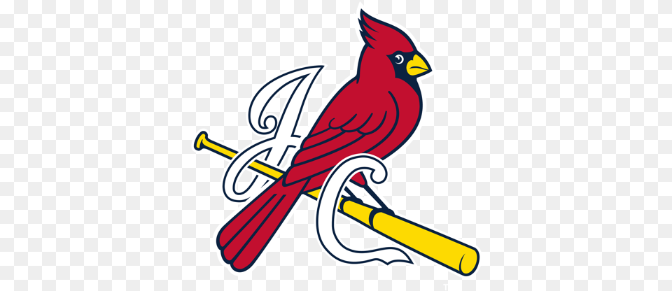 Johnson City Cardinals St Louis Cardinals Logo 1 1, Animal, Bird, Cardinal Free Png