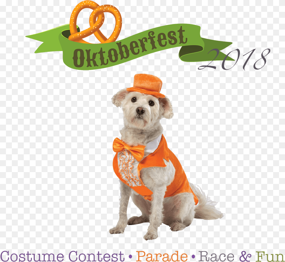 Join Us For The Oktoberfest Wiener Dog Costume And Dog Costume Dumb And Dumber, Animal, Canine, Mammal, Pet Png Image