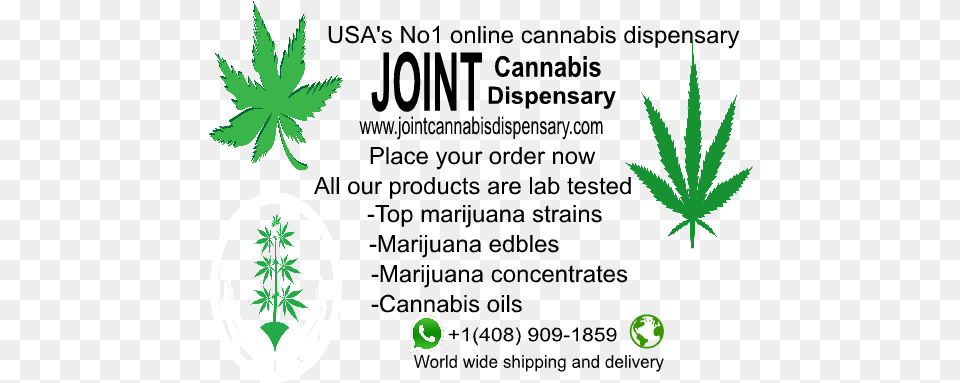 Joint Cannabis Dispensary Is A Fast Friendly Discrete Total Support Services, Leaf, Plant, Weed, Hemp Free Transparent Png