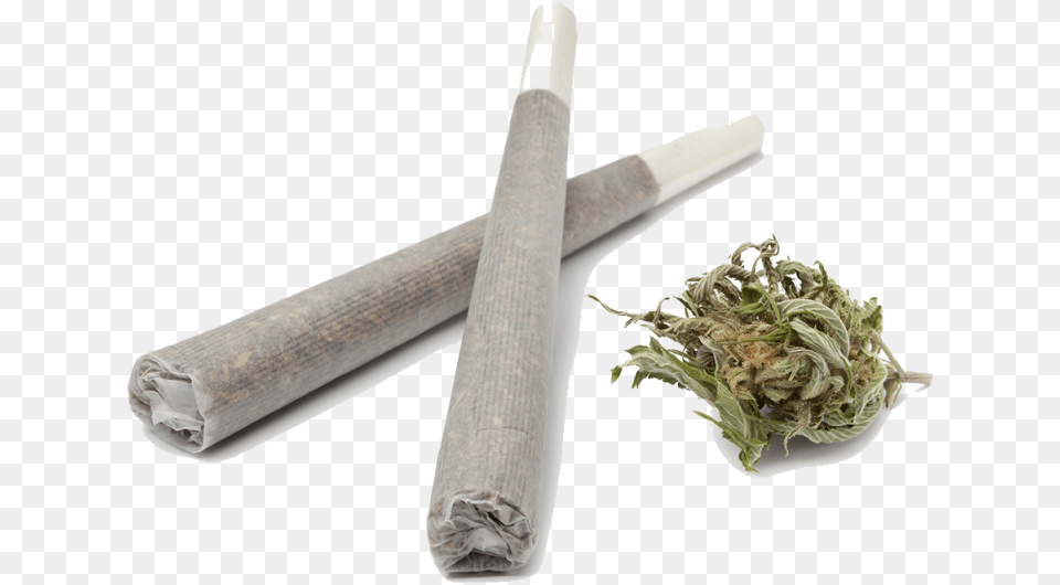 Joint Pre Roll Rolled Joints Organic Ghost Pre Roll Joint Transparent, Plant, Herbal, Herbs, Blade Png