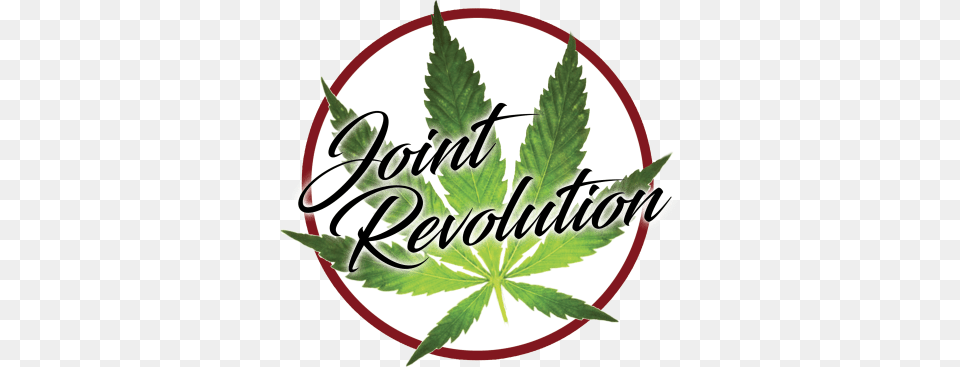 Joint Revolution Cannabis Sticker Adhsif Mural Autocollant Feuille, Leaf, Plant, Weed, Herbal Png
