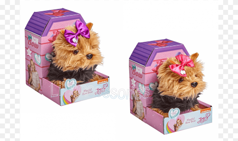 Jojo Siwa Bow Bow, Animal, Canine, Dog, Mammal Png