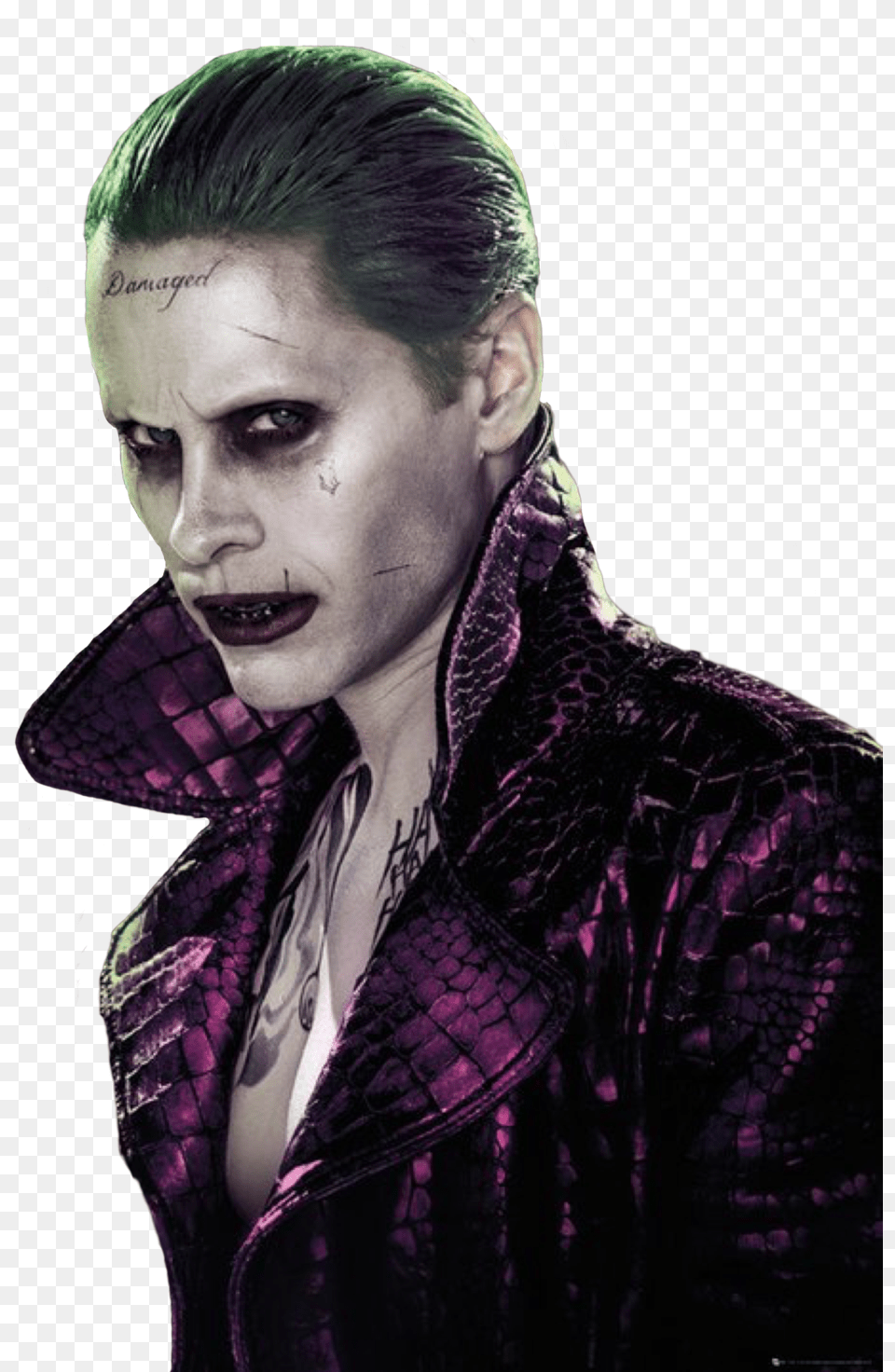 Joker Suicide Squad Joker, Portrait, Photography, Person, Face Free Transparent Png