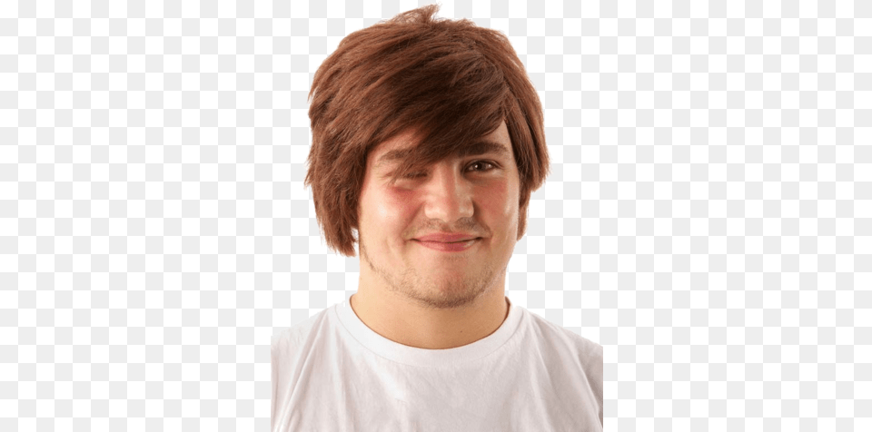 Jokers Masquerade Men39s Brown Wig, Adult, Person, Man, Male Free Transparent Png