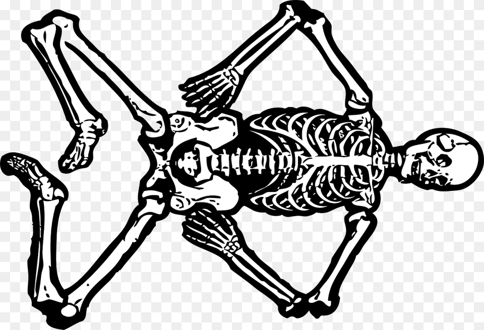 Jokes On Medical Students, Skeleton, Person, Baby, Face Png