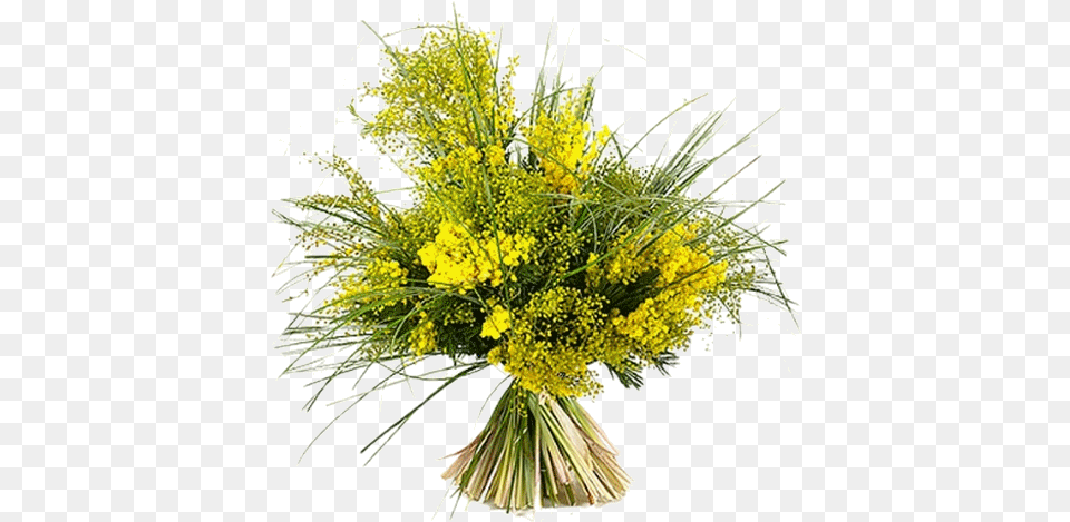 Joli Tube Bouquet De Mimosa, Flower, Flower Arrangement, Flower Bouquet, Plant Free Png Download