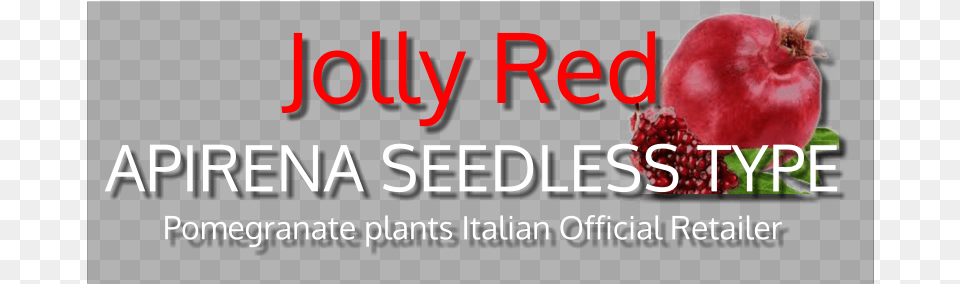 Jolly Red Kristian Valen Still Here, Food, Fruit, Plant, Produce Png Image