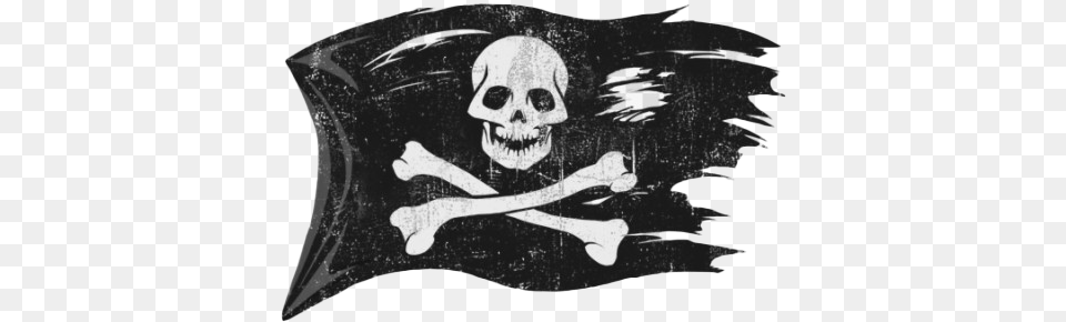 Jolly Roger Flag Photos Transparent Pirate Flag, Person, Animal, Fish, Sea Life Free Png