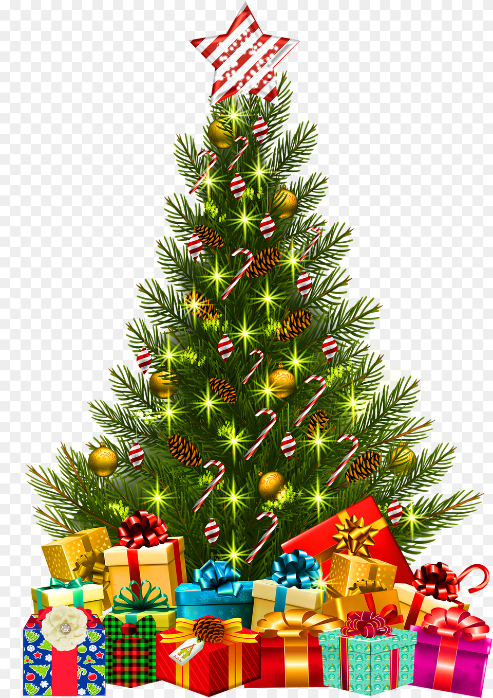 Jones Intermediate School Sea Of Thieves Christmas, Plant, Tree, Christmas Decorations, Festival Free Transparent Png