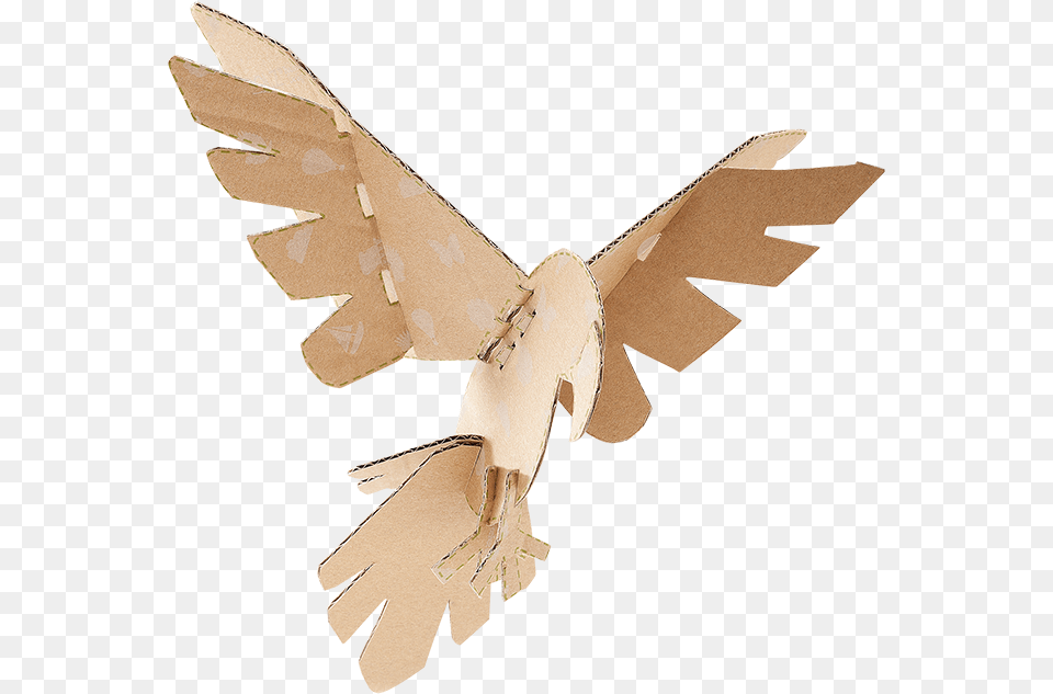 Joolz Re Usable Bird Product, Animal, Pigeon, Dove Free Transparent Png