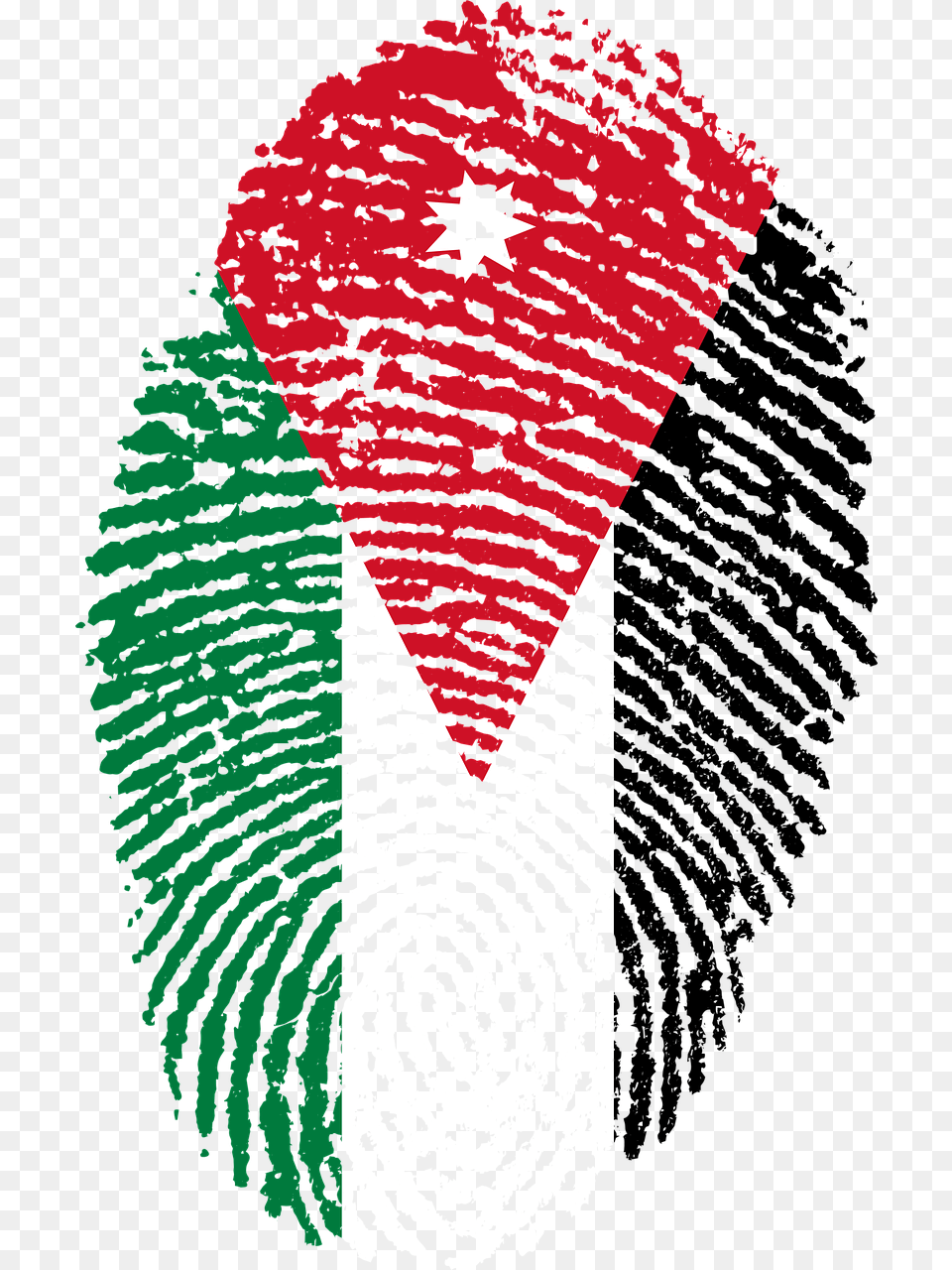 Jordan Flag Fingerprint, Person, Face, Head Free Png
