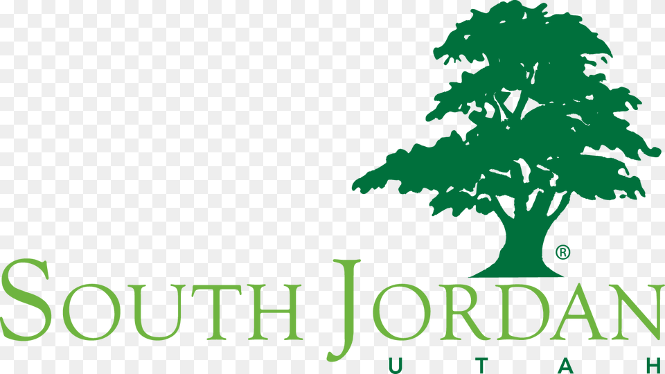 Jordan Logo, Conifer, Tree, Green, Plant Free Transparent Png