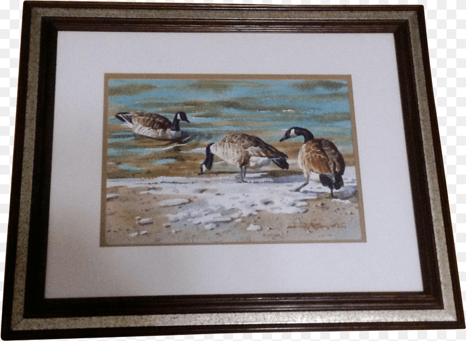 Joseph Bohler Aws Original Watercolor Painting Works Watercolor Painting, Art, Animal, Bird, Goose Free Png Download