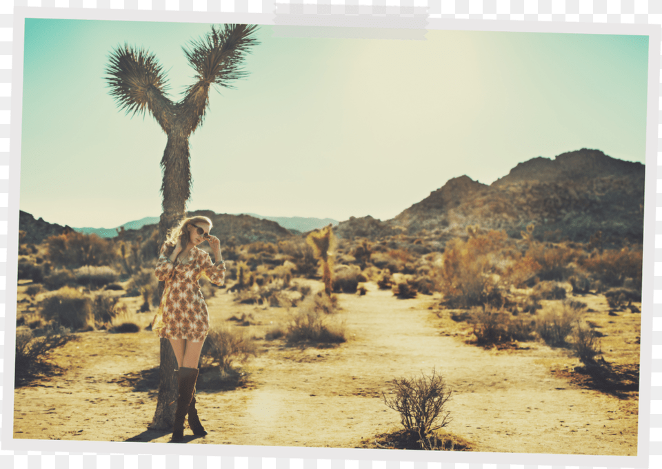 Joshua Tree Alaina Sabal Palmetto, Woman, Adult, Female, Plant Png