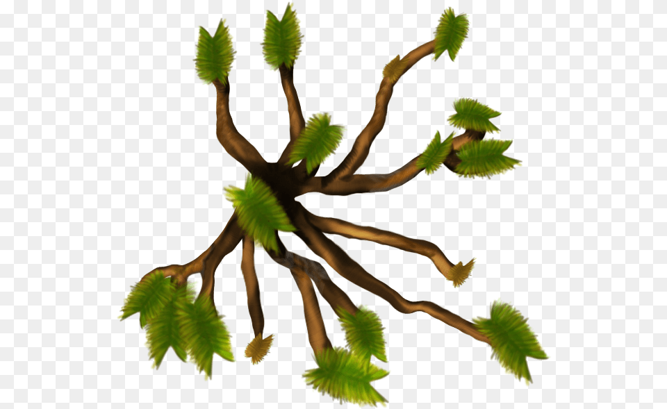 Joshua Tree Horse, Leaf, Plant, Fern, Moss Free Transparent Png