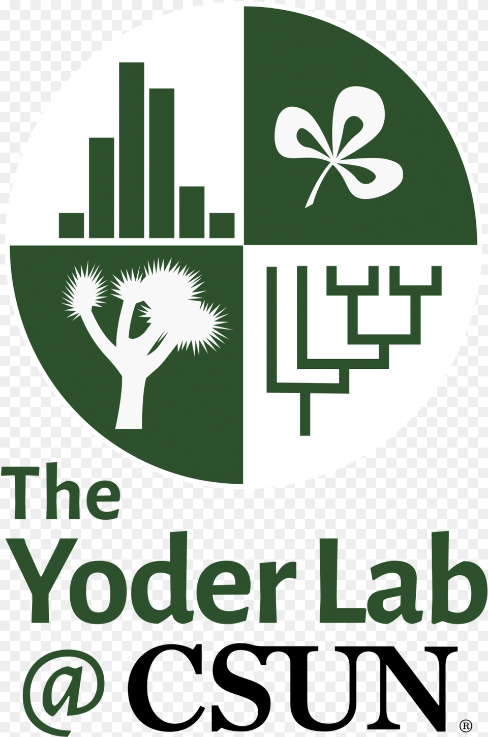 Joshua Tree The Yoder Lab Csun Vertical, Flower, Plant, Herbal, Herbs Png