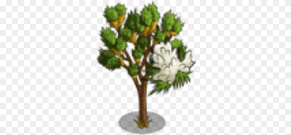 Joshua Tree Tree, Conifer, Plant, Flower, Leaf Free Png Download