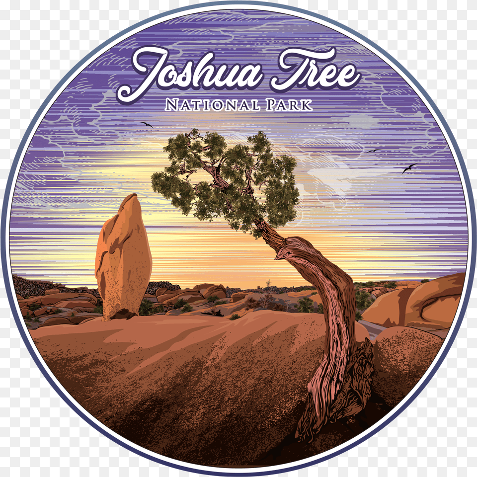 Joshua Treeclass Lazyload Lazyload Mirage Primary Green Park, Disk, Dvd, Outdoors, Nature Free Png Download