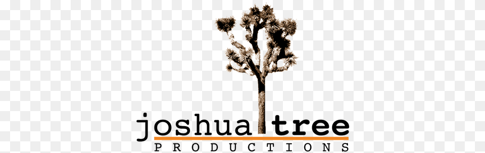 Joshuatreelogoalpha Joshua Tree, Plant, Tree Trunk, Conifer, Ice Png