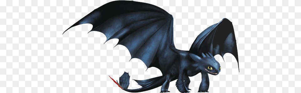 Journal Of Dragons Train Your Dragon Toothless, Accessories, Ornament Free Transparent Png