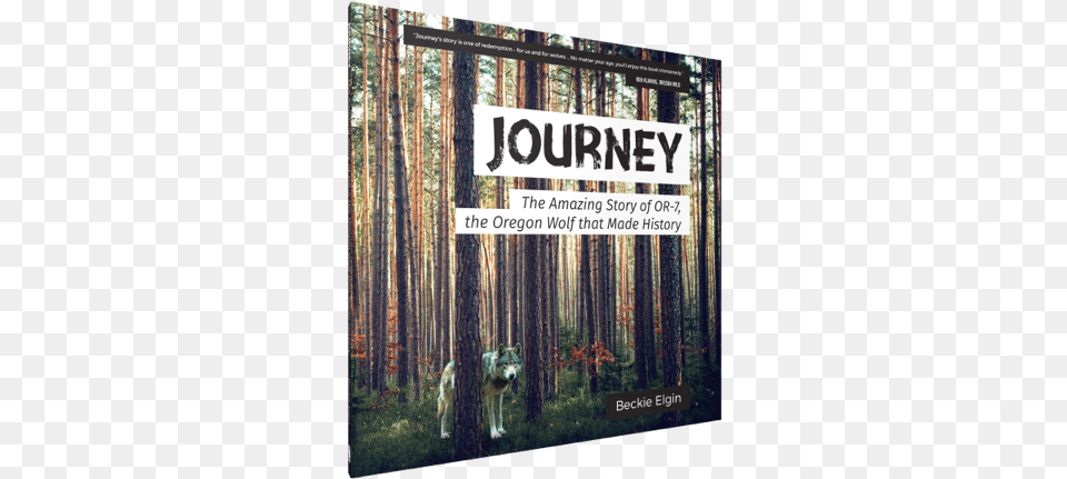 Journey Book Cover Journey The Amazing Story Of Or, Woodland, Nature, Land, Outdoors Free Transparent Png