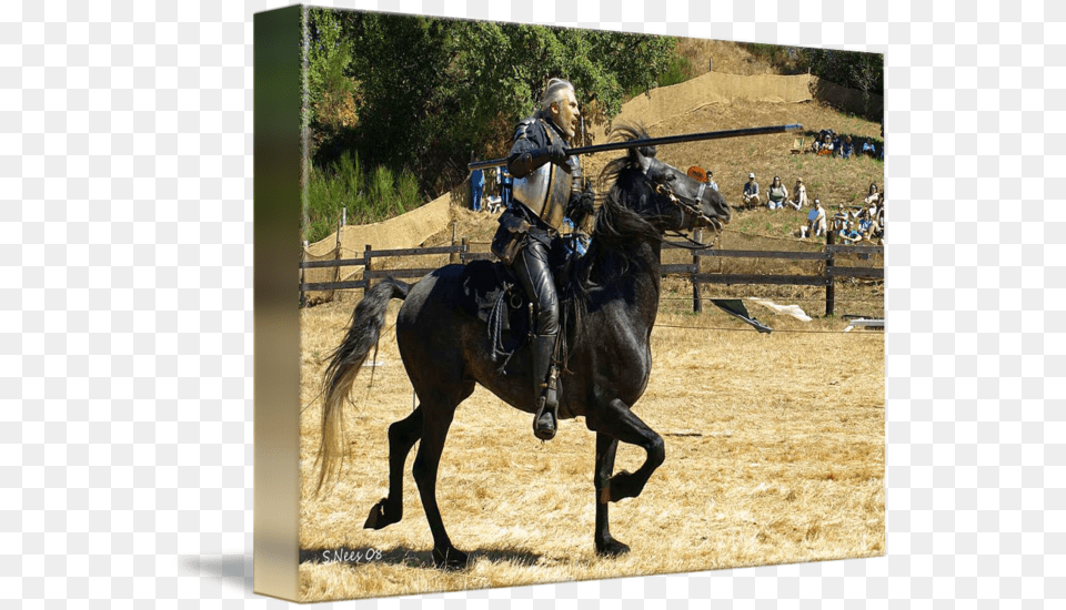 Joust By Shari Nees Jousting, Andalusian Horse, Animal, Horse, Mammal Free Png