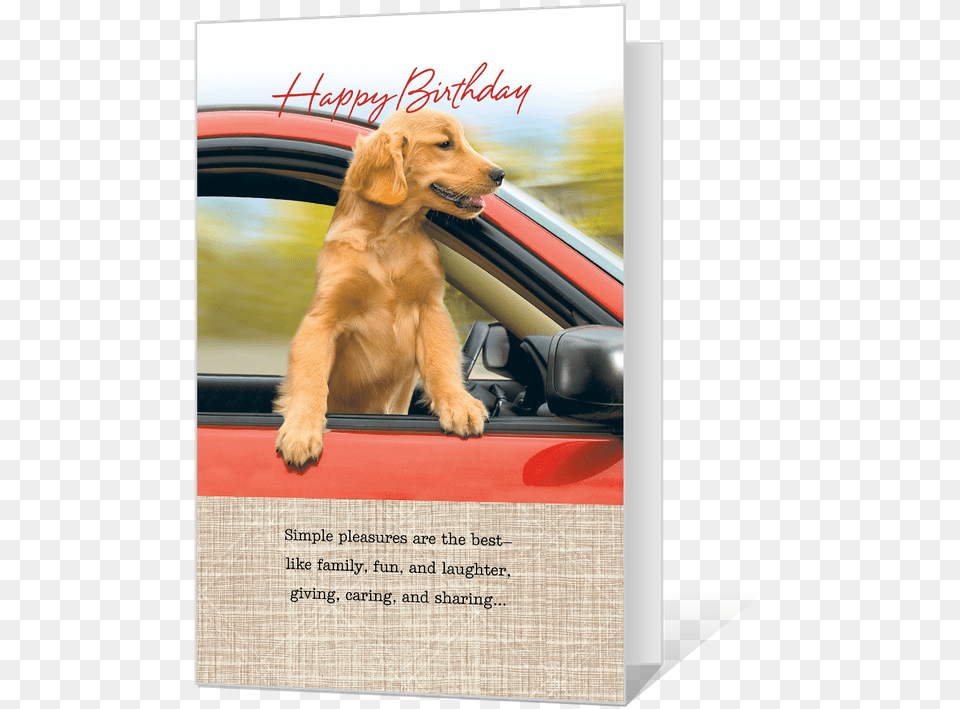 Joy Of Celebrating Printable Cocker Spaniel, Animal, Canine, Dog, Golden Retriever Png