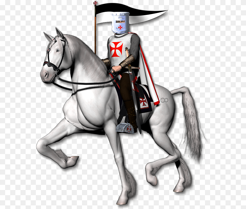 Jpeg Knight On White Horse Knights, People, Person, Adult, Male Free Png Download