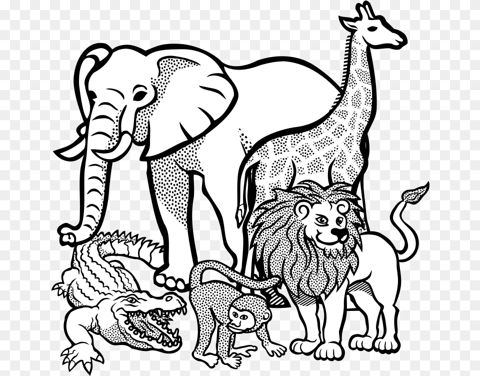 Jpg Black And White Africa Clipart Animal Wild Animals Colouring Pages, Baby, Person, Face, Head Free Png Download