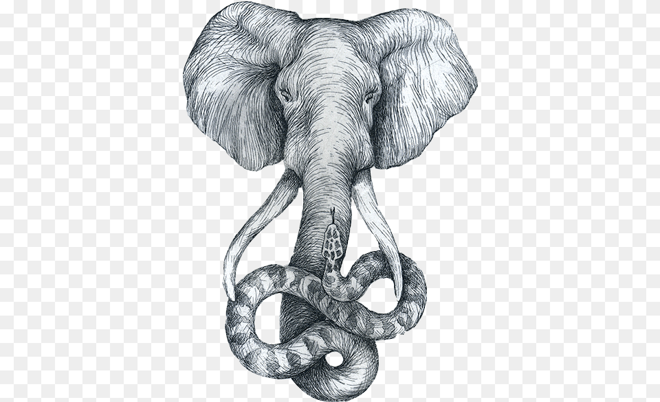 Jpg Black And White Elephant Sketch Headed Snake Elefante Sketch, Animal, Mammal, Wildlife, Art Free Png