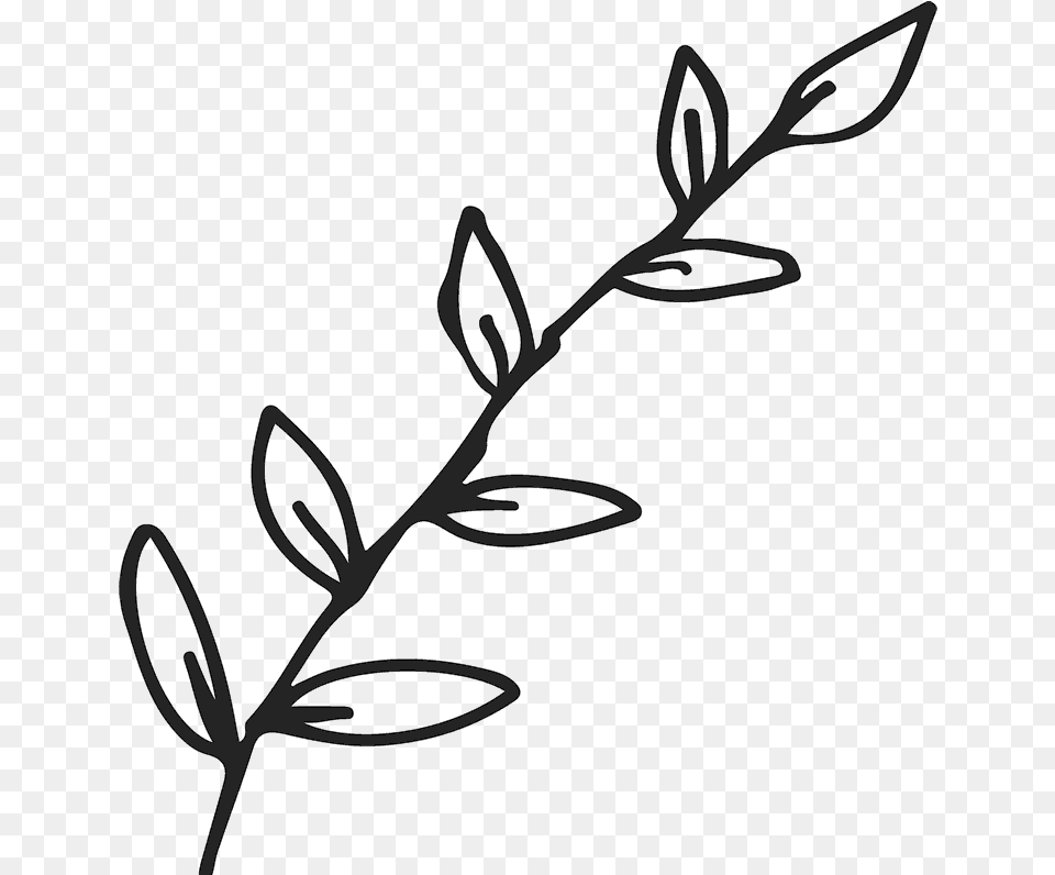 Jpg Black And White Stock Branch Transparent Outline Outline Hand Drawn Leaf, Flower, Plant, Grass, Bow Png