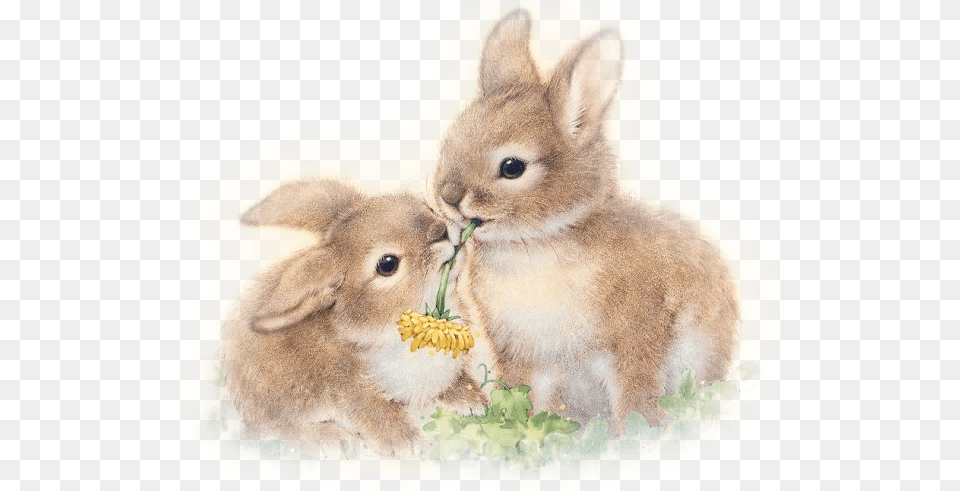 Jpg Download Easter Clipart Watercolor Easter Bunny Watercolor, Animal, Mammal, Rabbit, Cat Png