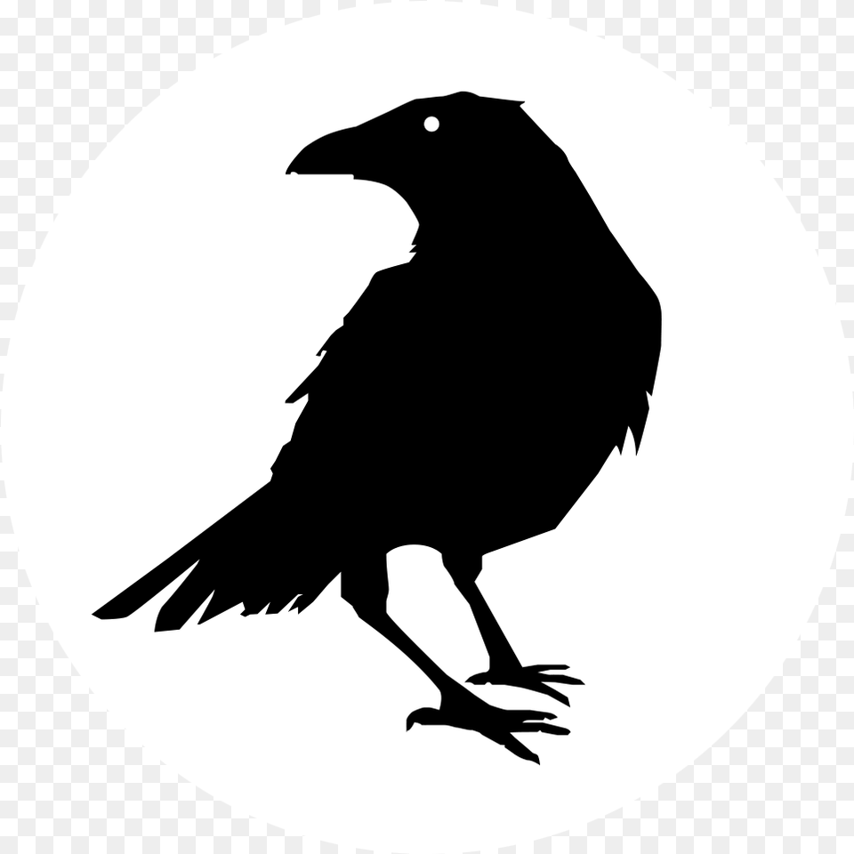 Jpg Download Raven Circle Raven Silhouette, Animal, Bird, Blackbird, Stencil Png Image