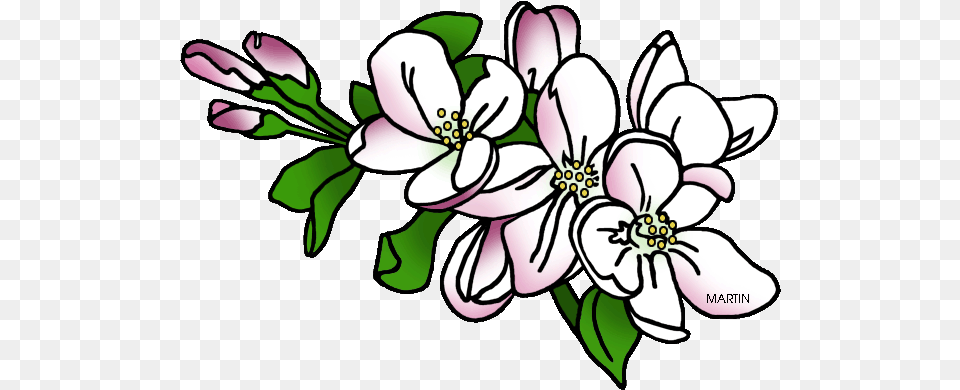 Jpg Freeuse United States Clip Art By Phillip Martin Apple Blossom Michigan State Flower, Floral Design, Graphics, Pattern, Plant Free Transparent Png