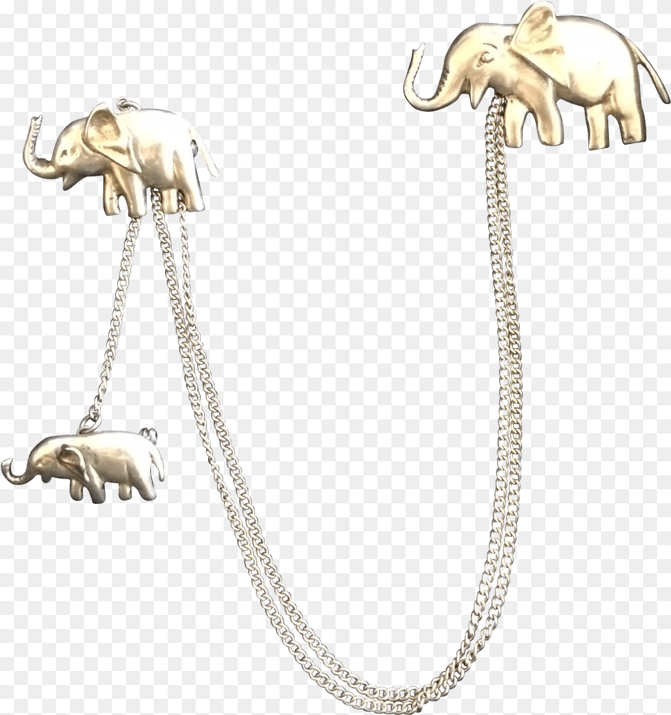 Jpg Library Library Cannes Palmes Spikes Of Indian Elephant, Accessories, Animal, Mammal, Wildlife Free Transparent Png