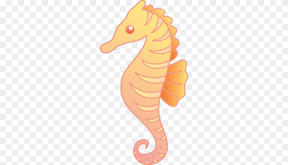 Jpg Library Stock Little Orange Clip Art Cute Under The Sea Seahorses, Animal, Mammal, Baby, Person Free Png Download