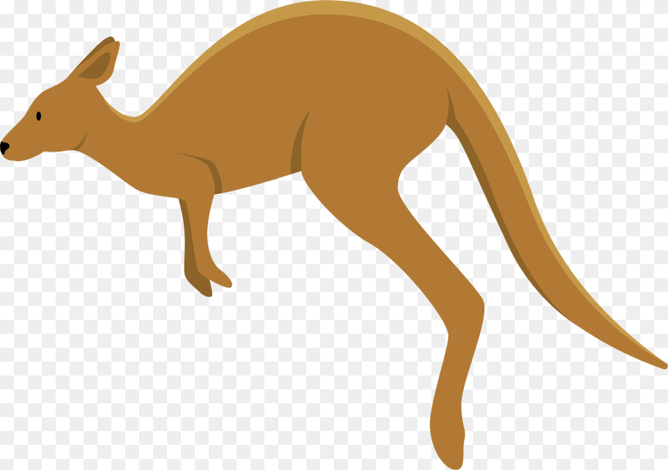Jpg Royalty Library Collection Of Clipart Easy Transparent Background Kangaroo Clipart, Animal, Mammal Free Png Download