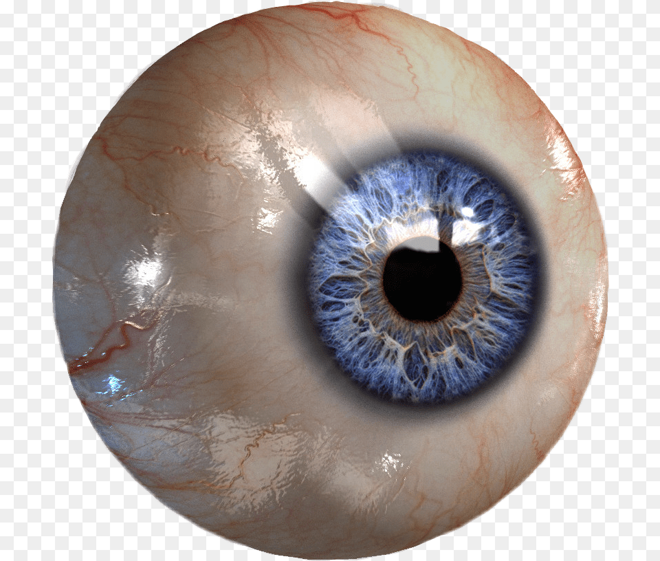 Jpg Royalty Library Eye Eyes Ball Sticker By Yumiko Realistic Eyeball, Accessories, Gemstone, Jewelry, Person Free Png Download