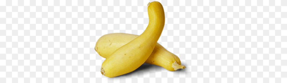 Jpg Royalty Stock Icon Whole Plant Foods Yellow Squash Background, Banana, Food, Fruit, Produce Free Transparent Png