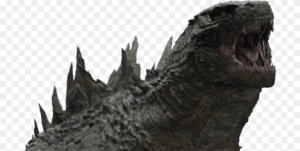 Jpg Royalty Stock Up Close Look By Sonichedgehog Godzilla 2014 Close Up, Animal, Lizard, Reptile, Iguana Png