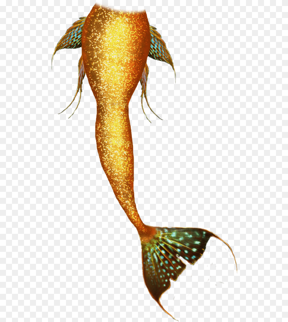 Jpg Stock Mermaid Tail By Goth Moran Golden Mermaid Tail, Animal, Sea Life, Fish, Adult Free Png