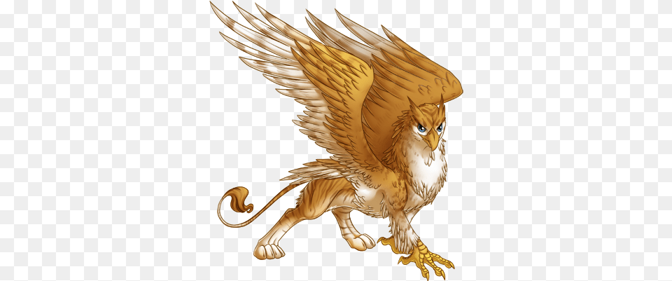 Jpg Transparent Library Gryphon Google Search Griffins Mythical Creatures, Animal, Bird Png Image