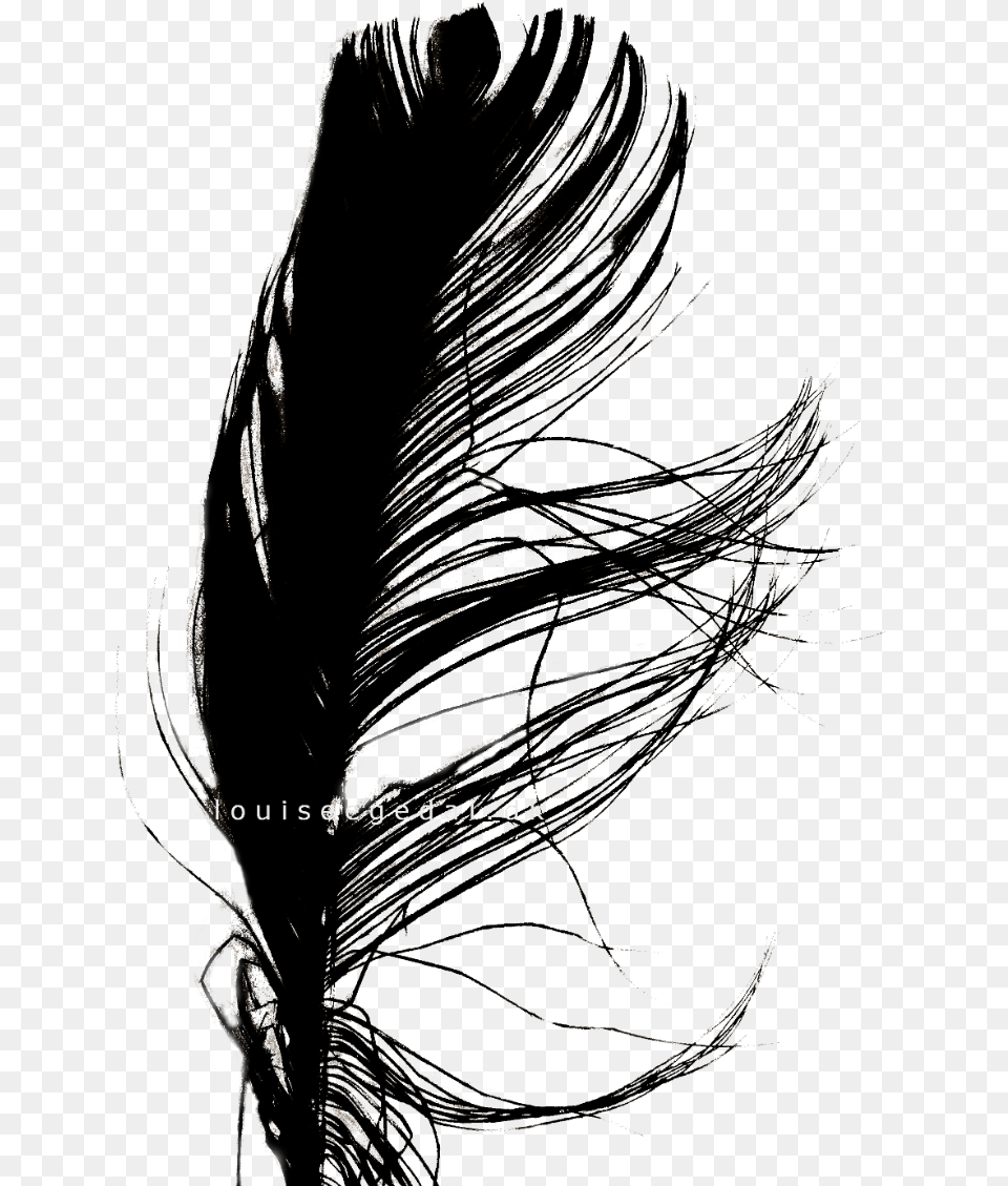 Jpg Transparent Stock Interesting Drawing Feather Illustration, Adult, Female, Person, Woman Png Image