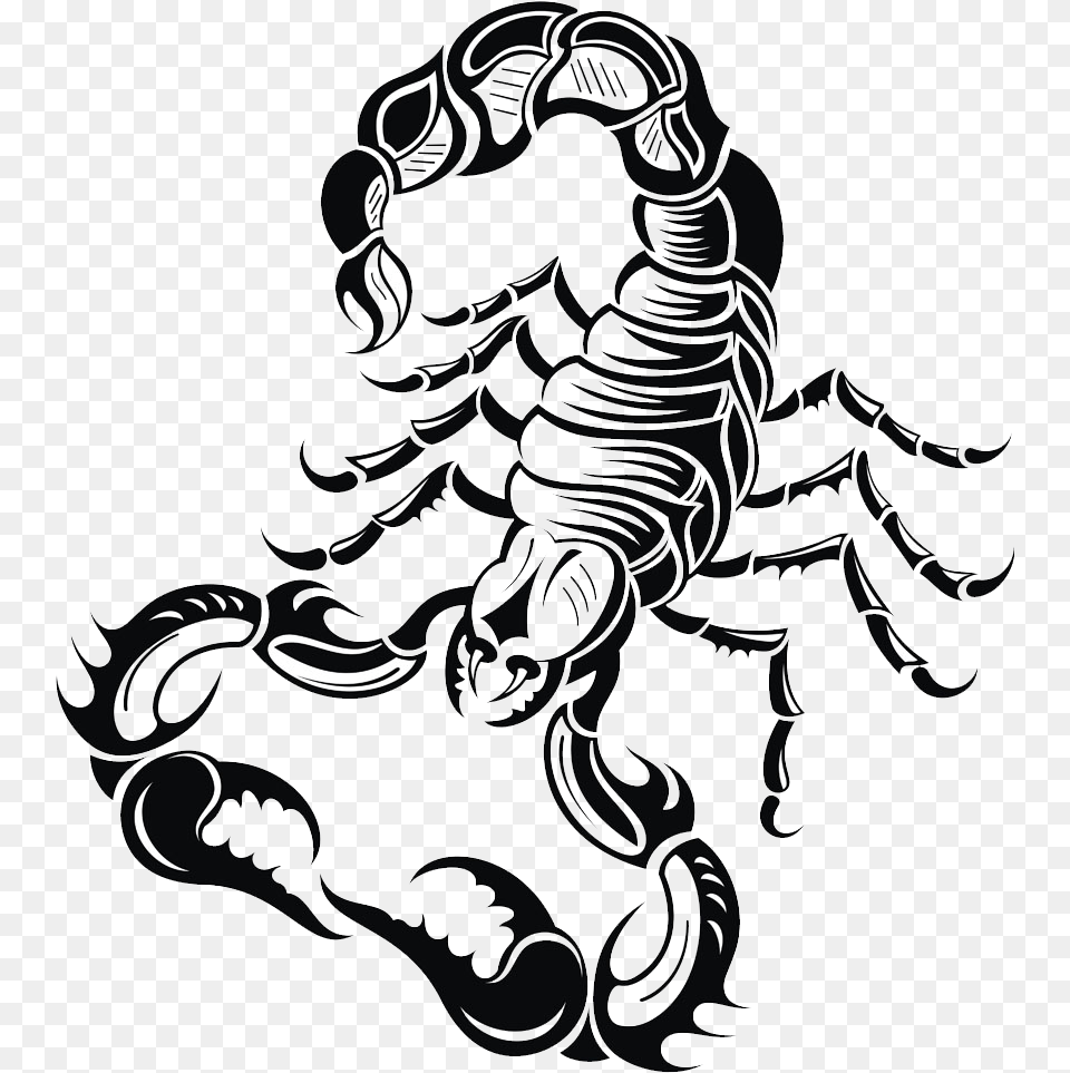 Jpg Transparent Stock Scorpions At Getdrawings Com 8 Sheets Tiger Skull Scorpio Body Back Extra Large, Animal, Invertebrate, Scorpion, Electronics Png Image