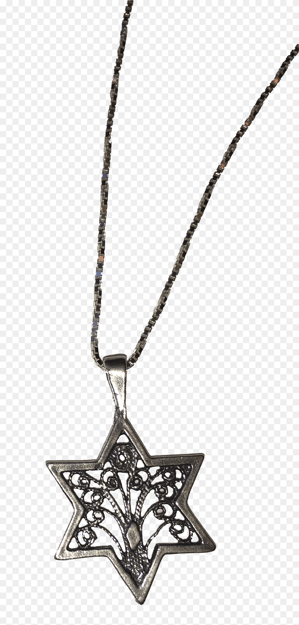 Jpl Books Tree Of Life Star Of David Necklace, Accessories, Jewelry, Pendant, Diamond Png Image